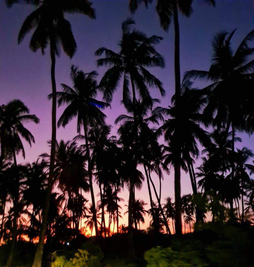 Beachfront Villa Ladha Ya Zanzibar 江比阿 外观 照片