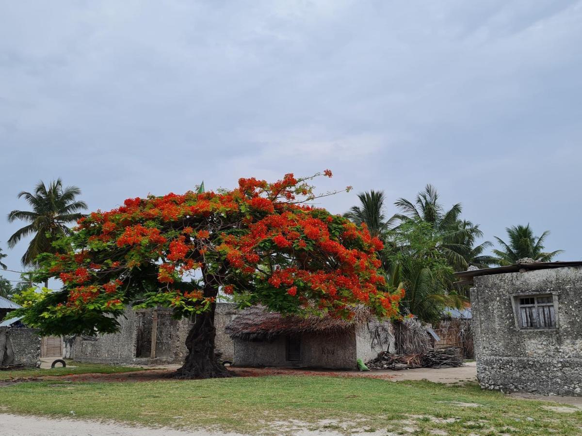 Beachfront Villa Ladha Ya Zanzibar 江比阿 外观 照片