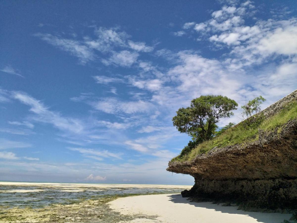 Beachfront Villa Ladha Ya Zanzibar 江比阿 外观 照片